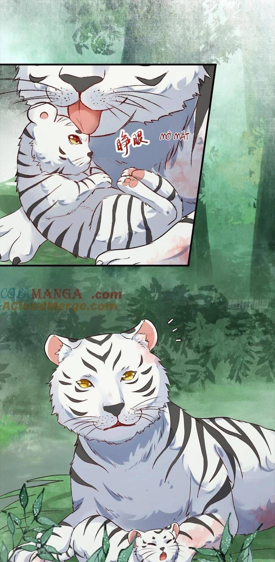 đọc truyện Tuyệt Sắc Quyến Rũ: Quỷ Y Chí Tôn Chương 540 ảnh 7 tại Thiên Thai Truyện