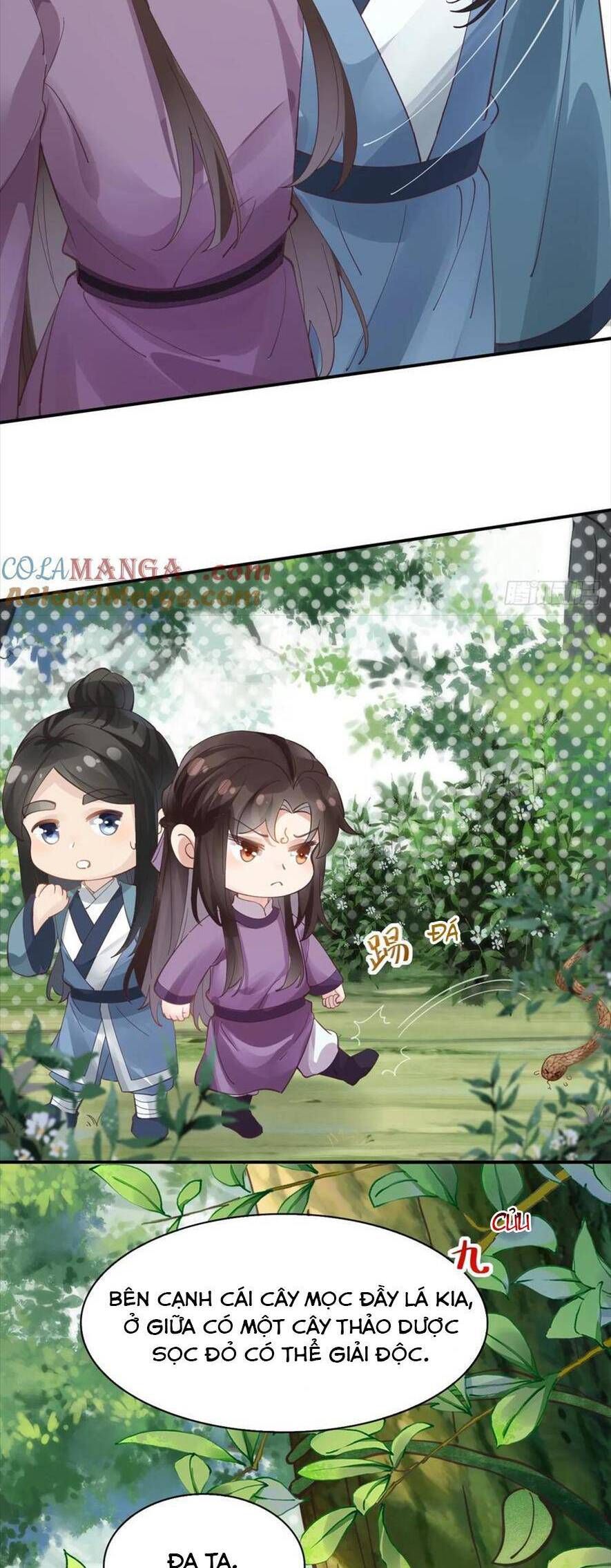 đọc truyện Tuyệt Sắc Quyến Rũ: Quỷ Y Chí Tôn Chương 548 ảnh 25 tại Thiên Thai Truyện