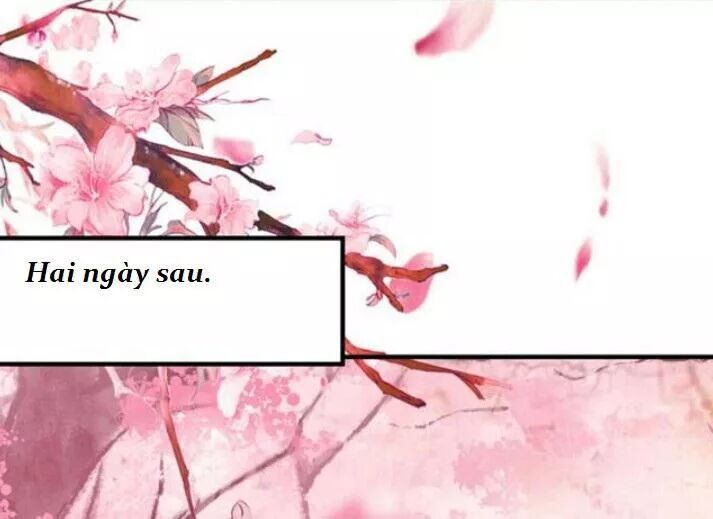 đọc truyện Tuyệt Sắc Quyến Rũ: Quỷ Y Chí Tôn Chương 73 ảnh 20 tại Thiên Thai Truyện