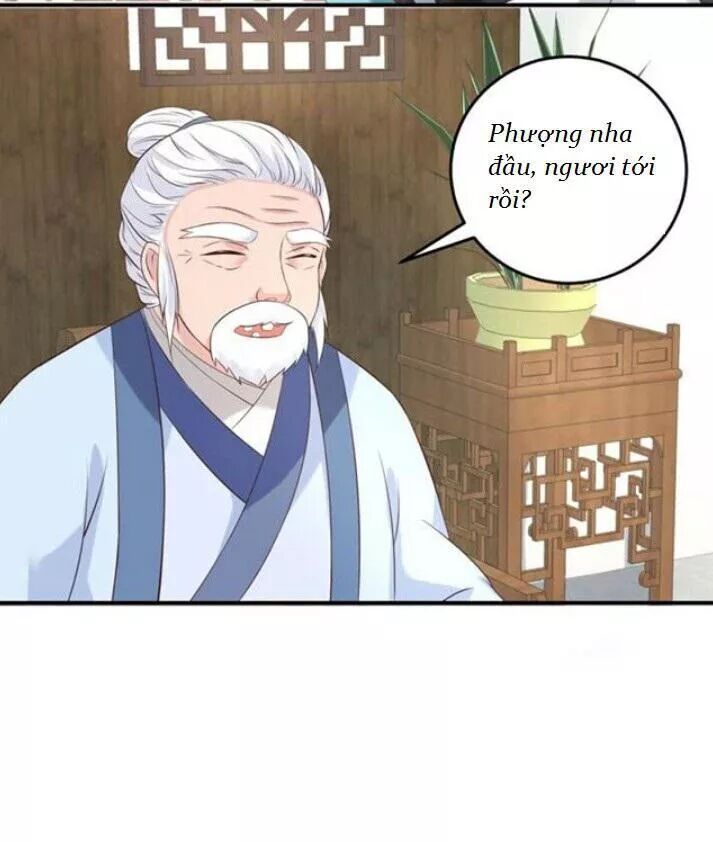 đọc truyện Tuyệt Sắc Quyến Rũ: Quỷ Y Chí Tôn Chương 80 ảnh 30 tại Thiên Thai Truyện