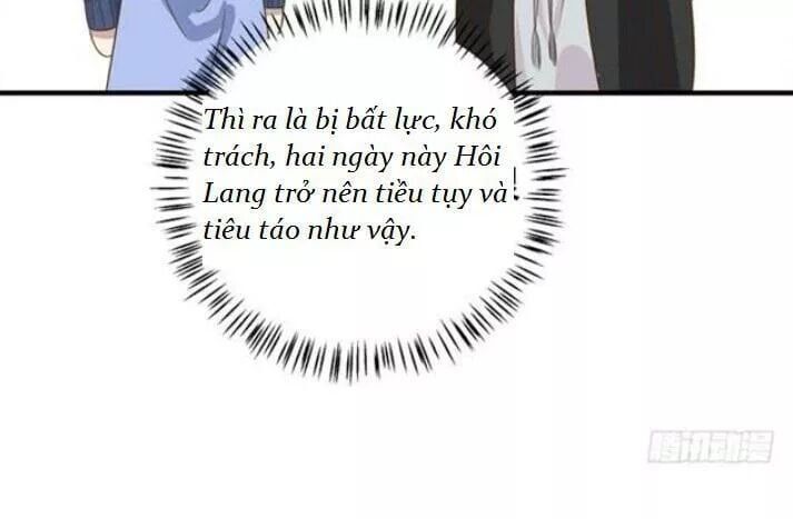 đọc truyện Tuyệt Sắc Quyến Rũ: Quỷ Y Chí Tôn Chương 91 ảnh 42 tại Thiên Thai Truyện