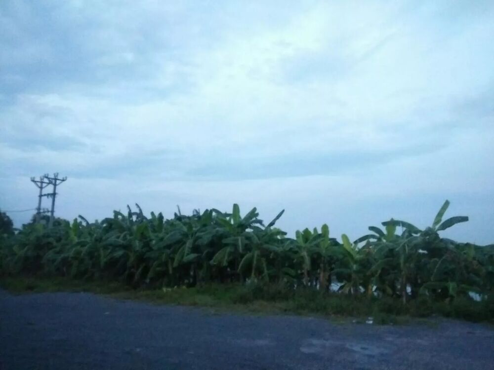 đọc truyện Tuyệt Sắc Quyến Rũ: Quỷ Y Chí Tôn Chương 91 ảnh 66 tại Thiên Thai Truyện