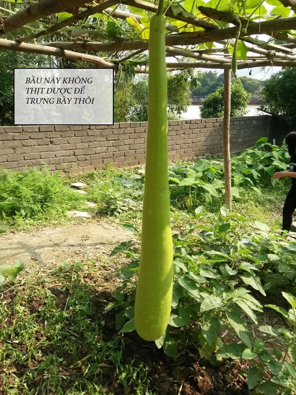 đọc truyện Tuyệt Sắc Quyến Rũ: Quỷ Y Chí Tôn Chương 91 ảnh 72 tại Thiên Thai Truyện