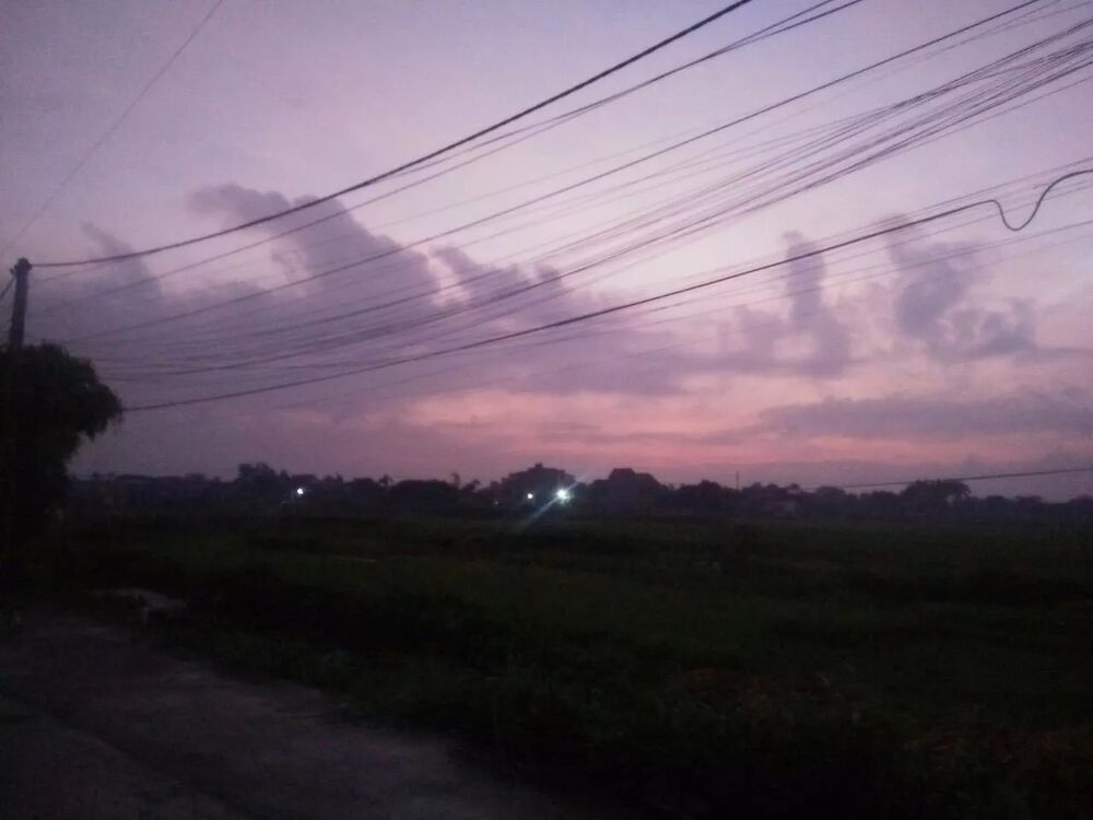 đọc truyện Tuyệt Sắc Quyến Rũ: Quỷ Y Chí Tôn Chương 95 ảnh 5 tại Thiên Thai Truyện