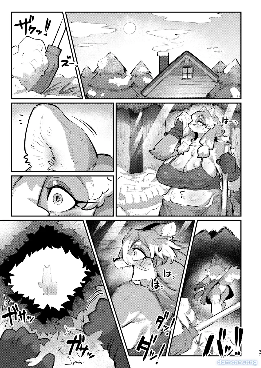 đọc truyện Tuyết Tan Dưới Trời Cực Quang Chương 1 ảnh 38 tại Thiên Thai Truyện
