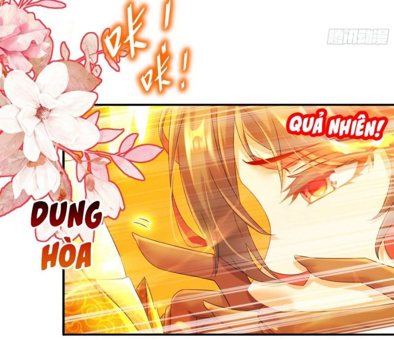 đọc truyện Tuyệt Thế Đạo Lữ Chương 7 ảnh 28 tại Giả Dược