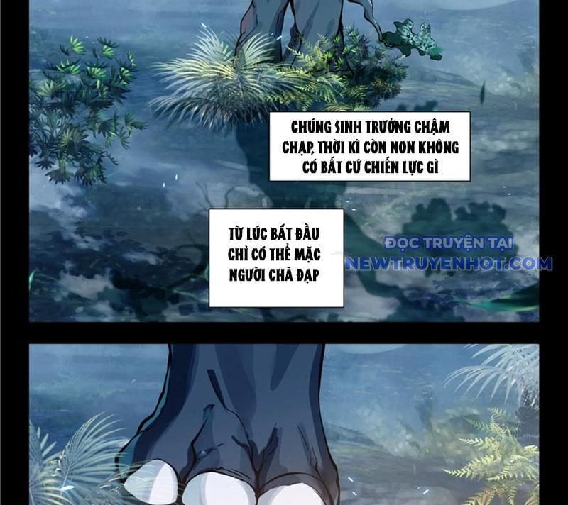 đọc truyện Tuyệt Thế Đường Môn - Đấu La Đại Lục 2 Chương 447 ảnh 14 tại Thiên Thai Truyện