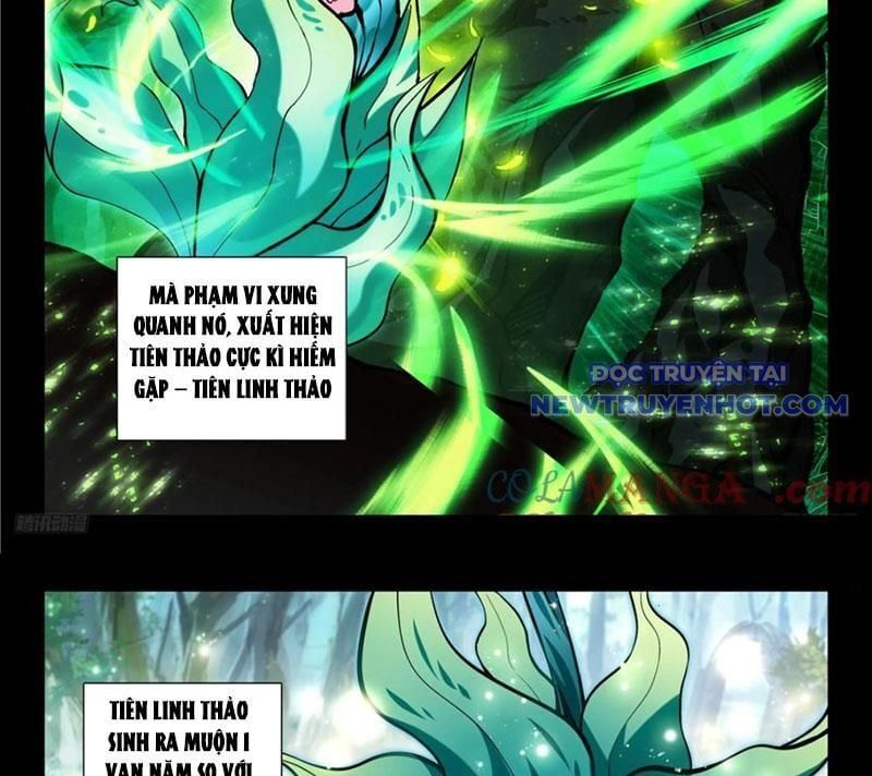 đọc truyện Tuyệt Thế Đường Môn - Đấu La Đại Lục 2 Chương 447 ảnh 16 tại Thiên Thai Truyện