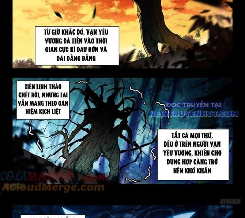 đọc truyện Tuyệt Thế Đường Môn - Đấu La Đại Lục 2 Chương 447 ảnh 19 tại Thiên Thai Truyện