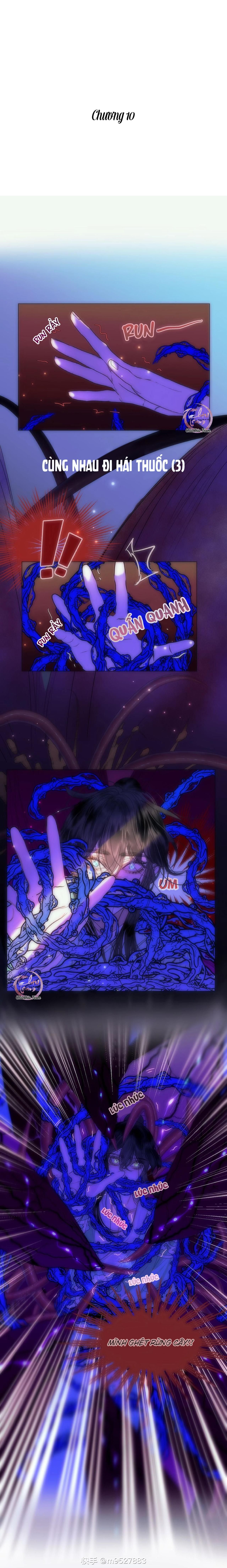 đọc truyện Vài Câu Chuyện Với Sư Tôn Sau Khi Xuyên Sách Chương 10 ảnh 2 tại Thiên Thai Truyện