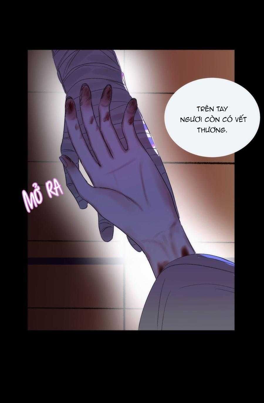 đọc truyện Vài Câu Chuyện Với Sư Tôn Sau Khi Xuyên Sách Chương 45 ảnh 12 tại Thiên Thai Truyện