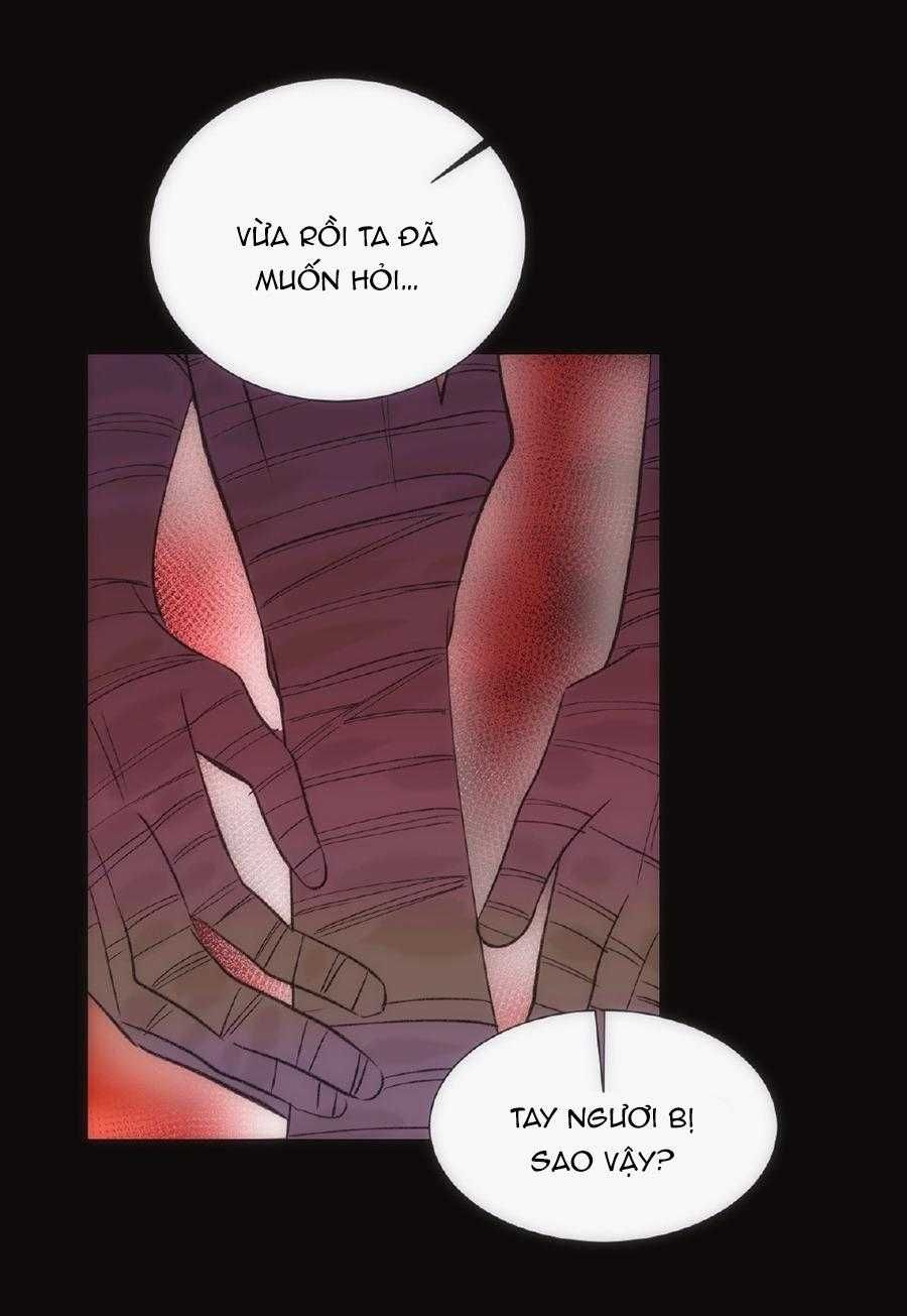 đọc truyện Vài Câu Chuyện Với Sư Tôn Sau Khi Xuyên Sách Chương 46 ảnh 8 tại Thiên Thai Truyện