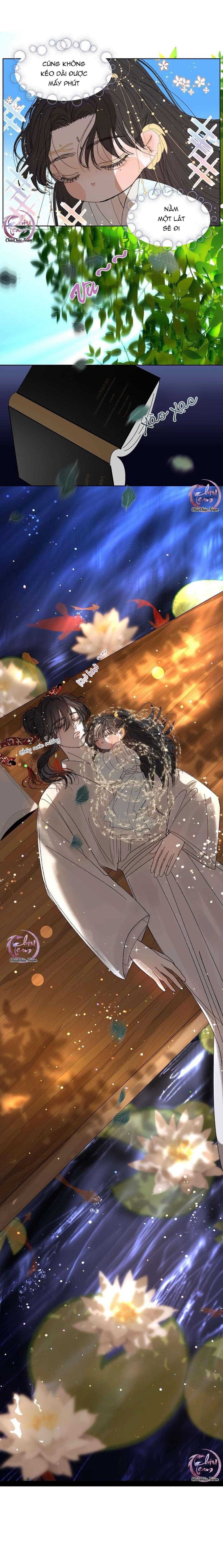 đọc truyện Vài Câu Chuyện Với Sư Tôn Sau Khi Xuyên Sách Chương 50 ảnh 6 tại Thiên Thai Truyện