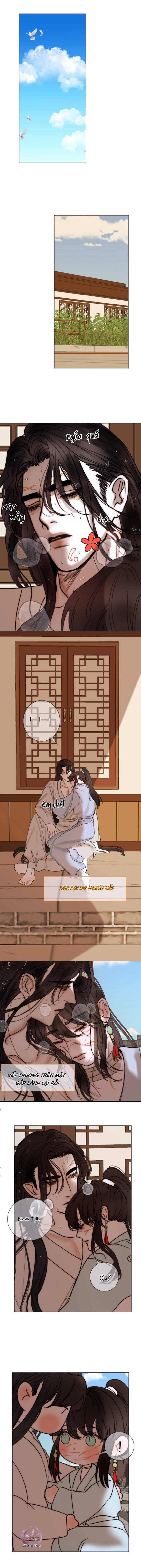 đọc truyện Vài Câu Chuyện Với Sư Tôn Sau Khi Xuyên Sách Chương 62 ảnh 4 tại Thiên Thai Truyện