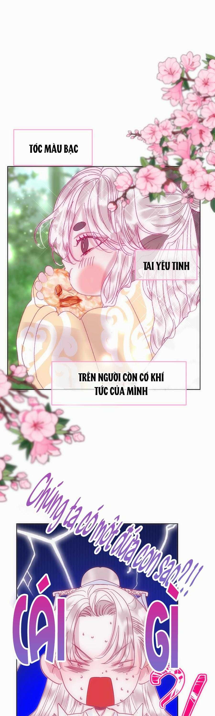 đọc truyện Vài Câu Chuyện Với Sư Tôn Sau Khi Xuyên Sách Chương 77.1 ảnh 7 tại Thiên Thai Truyện