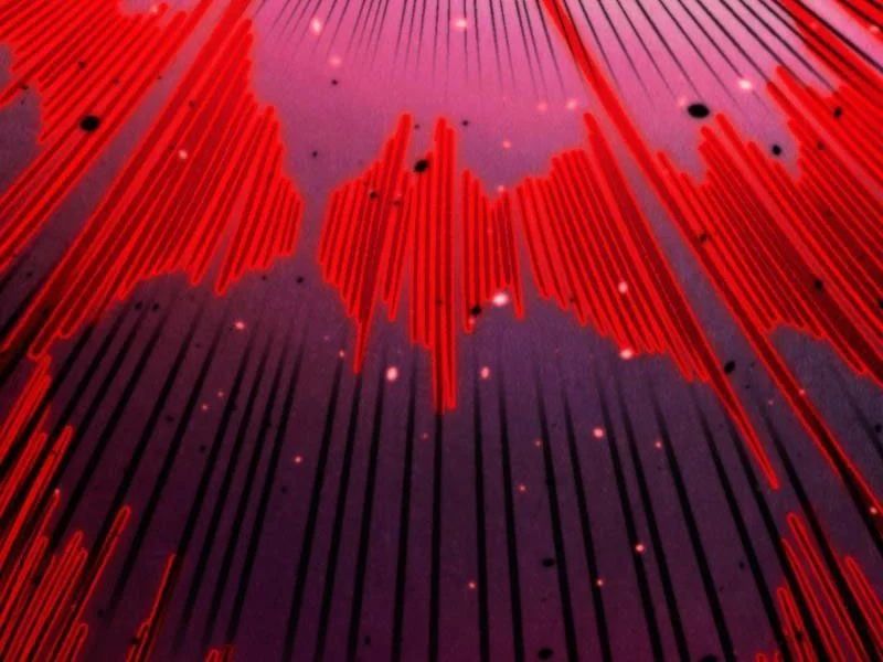 đọc truyện Vạn Cổ Chí Tôn Chương 486 ảnh 13 tại Thiên Thai Truyện