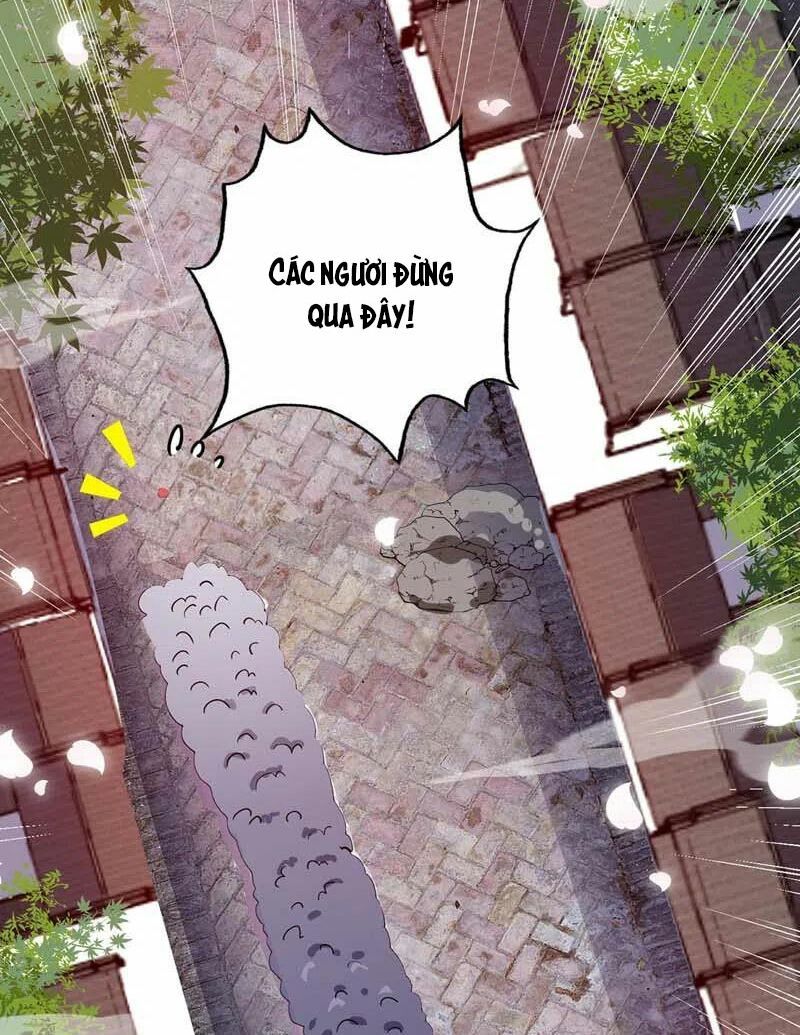 đọc truyện Vạn Cổ Đệ Nhất Tế Chương 99 ảnh 48 tại Thiên Thai Truyện