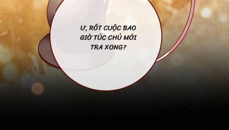 đọc truyện Vạn Tra Triêu Hoàng Chương 255 ảnh 31 tại Truyện Dạ Ký