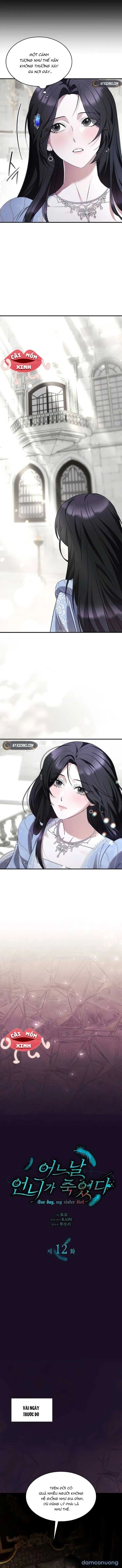 đọc truyện Vào Ngày Mà Chị Gái Tôi Qua Đời Chương 12 ảnh 3 tại Thiên Thai Truyện