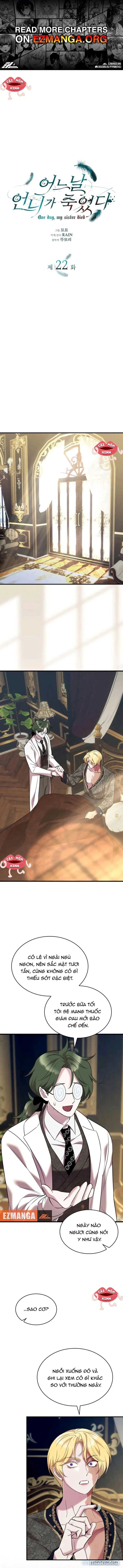 đọc truyện Vào Ngày Mà Chị Gái Tôi Qua Đời Chương 22 ảnh 2 tại Thiên Thai Truyện