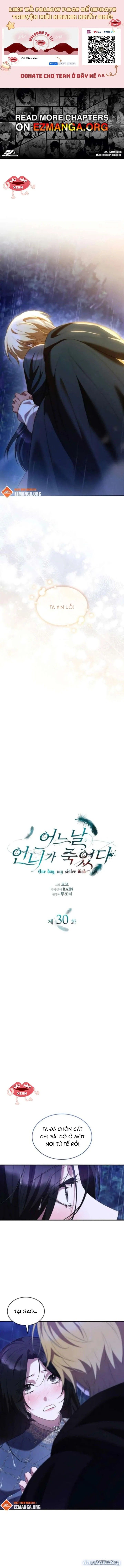 đọc truyện Vào Ngày Mà Chị Gái Tôi Qua Đời Chương 30 ảnh 2 tại Thiên Thai Truyện