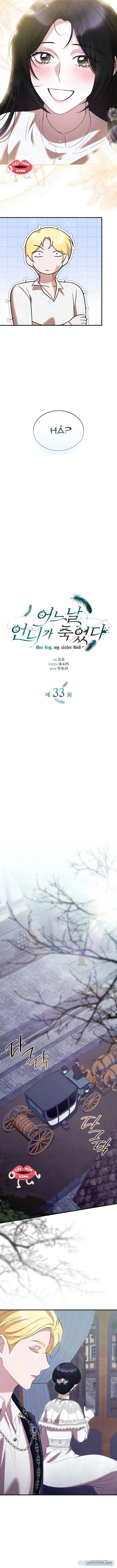 đọc truyện Vào Ngày Mà Chị Gái Tôi Qua Đời Chương 33 ảnh 3 tại Thiên Thai Truyện