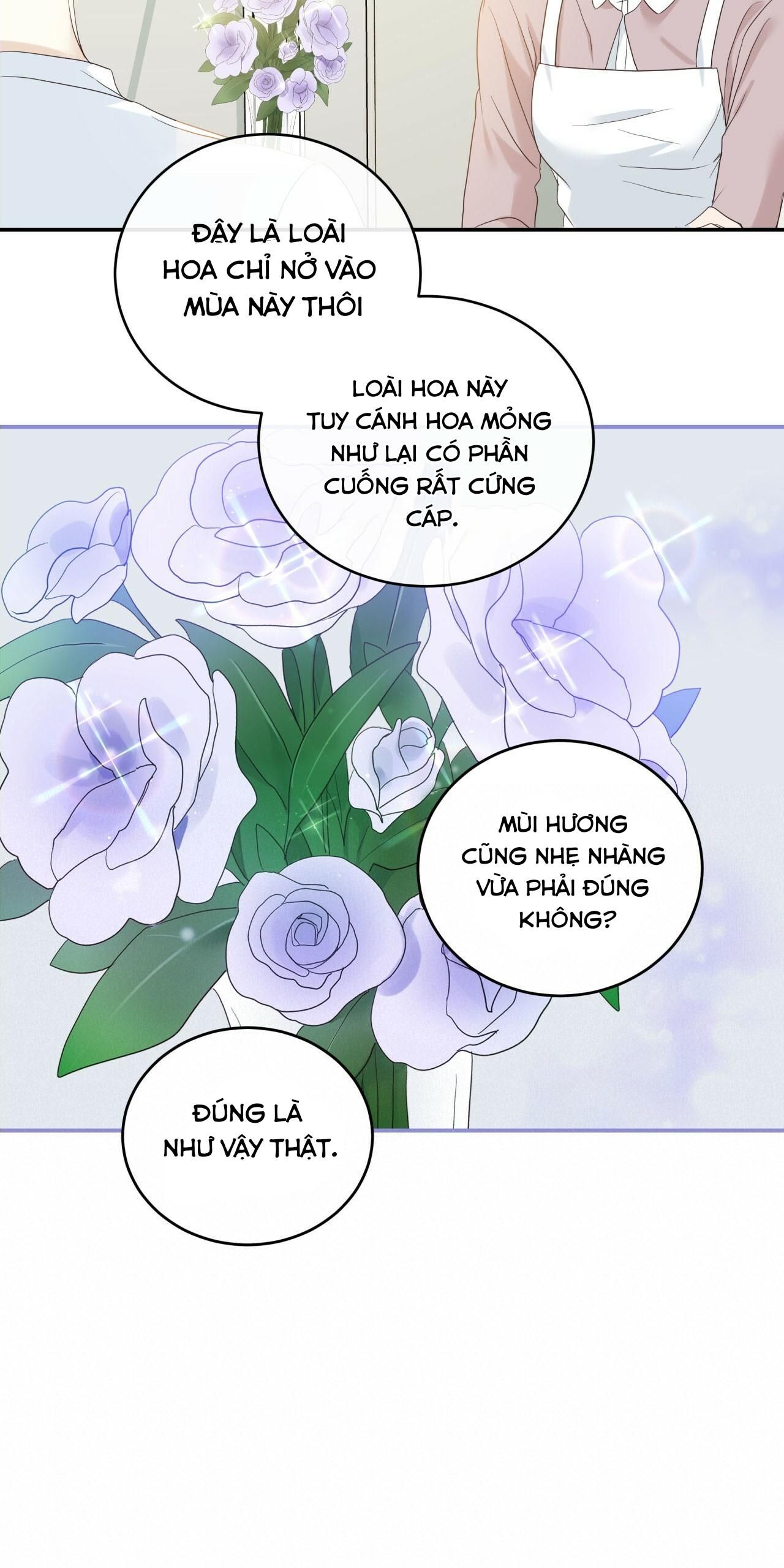 đọc truyện Vị Ngọt Không Đường (sweet Not Sugar) Chương 5 ảnh 40 tại Thiên Thai Truyện