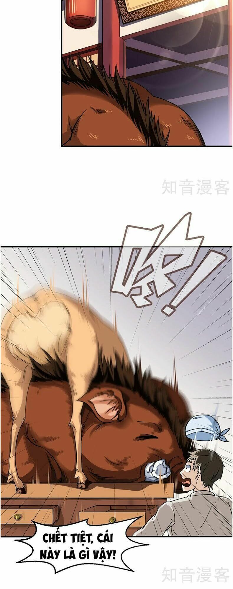 đọc truyện Võ Đạo Độc Tôn Chương 11 ảnh 12 tại Thiên Thai Truyện