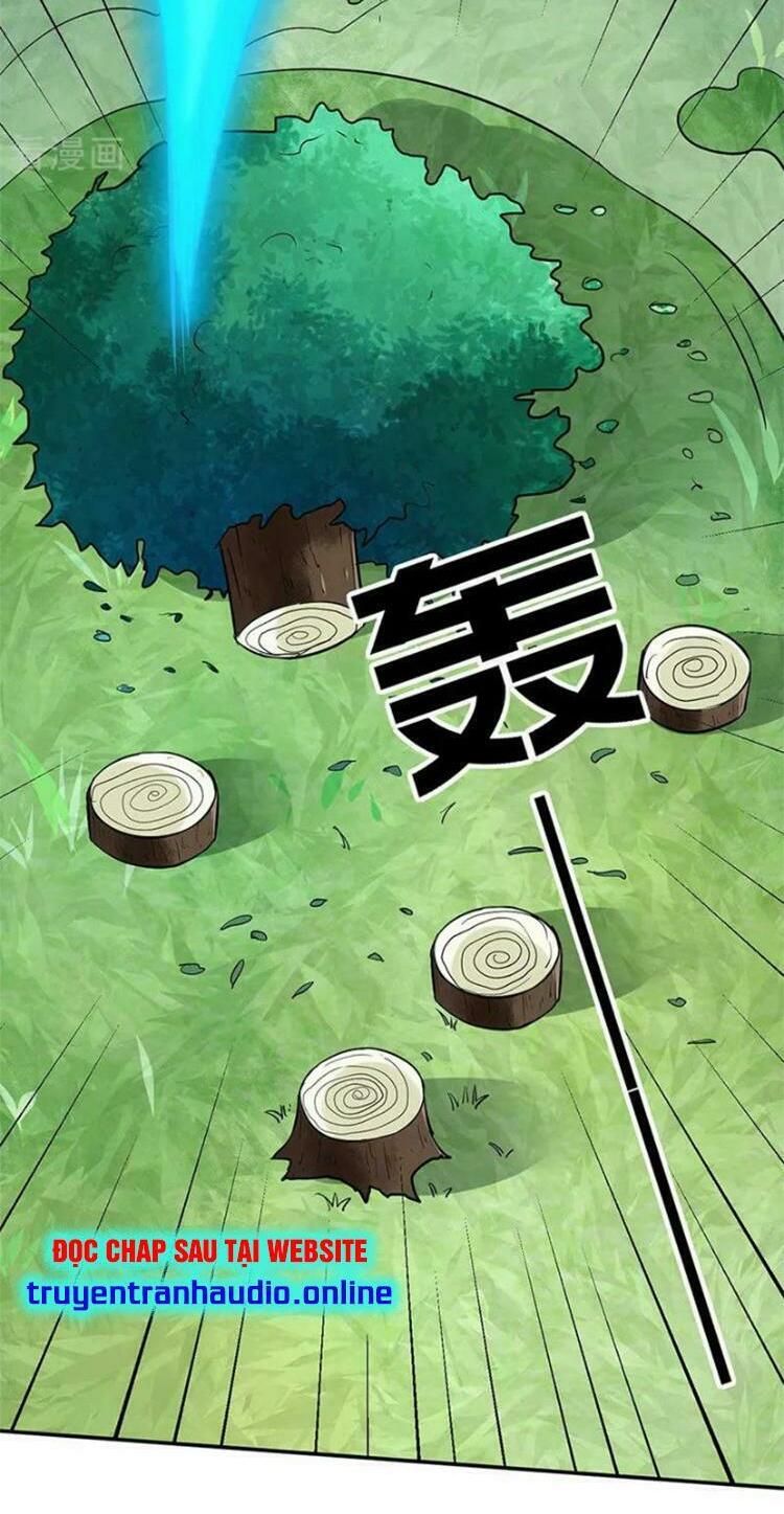 đọc truyện Võ Đạo Độc Tôn Chương 133 ảnh 39 tại Thiên Thai Truyện