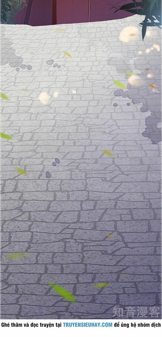 đọc truyện Võ Đạo Độc Tôn Chương 36 ảnh 16 tại Thiên Thai Truyện