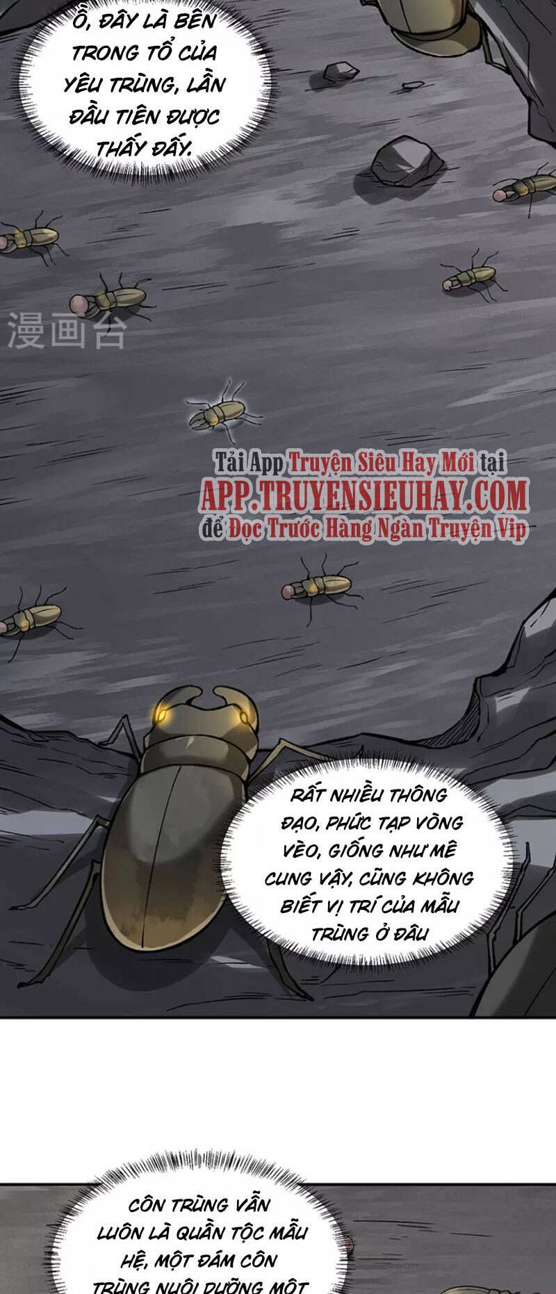 đọc truyện Võ Đạo Độc Tôn Chương 383 ảnh 22 tại Thiên Thai Truyện