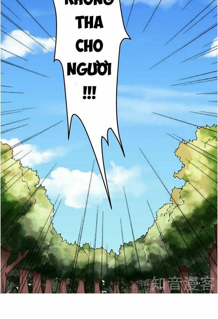 đọc truyện Võ Đạo Độc Tôn Chương 5 ảnh 46 tại Thiên Thai Truyện