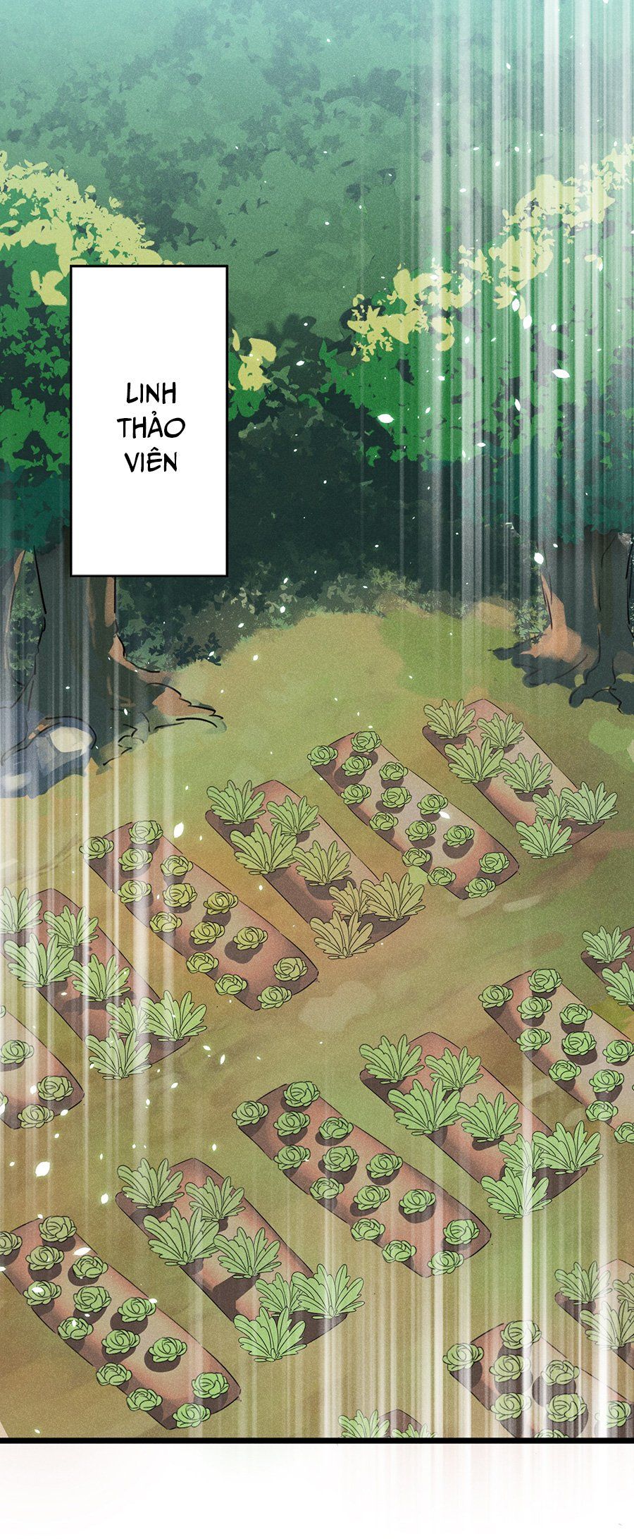 đọc truyện Võ Lâm Đệ Nhất Đầu Bếp Chương 38.1 ảnh 33 tại Thiên Thai Truyện