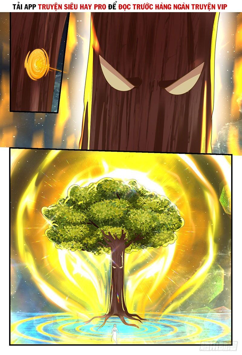 đọc truyện Võ Luyện Đỉnh Phong Chương 1003 ảnh 13 tại Thiên Thai Truyện