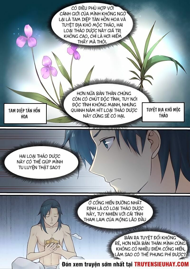 đọc truyện Võ Luyện Đỉnh Phong Chương 19 ảnh 8 tại Thiên Thai Truyện