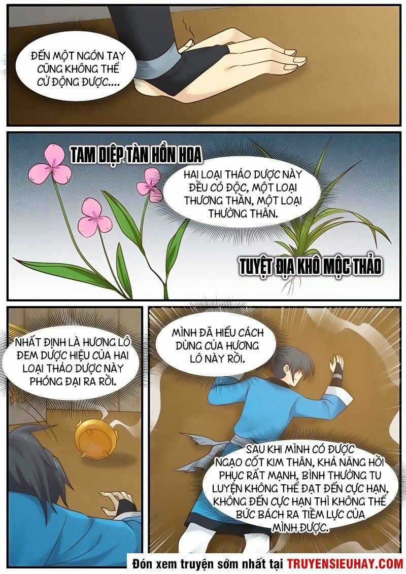 đọc truyện Võ Luyện Đỉnh Phong Chương 27 ảnh 7 tại Thiên Thai Truyện
