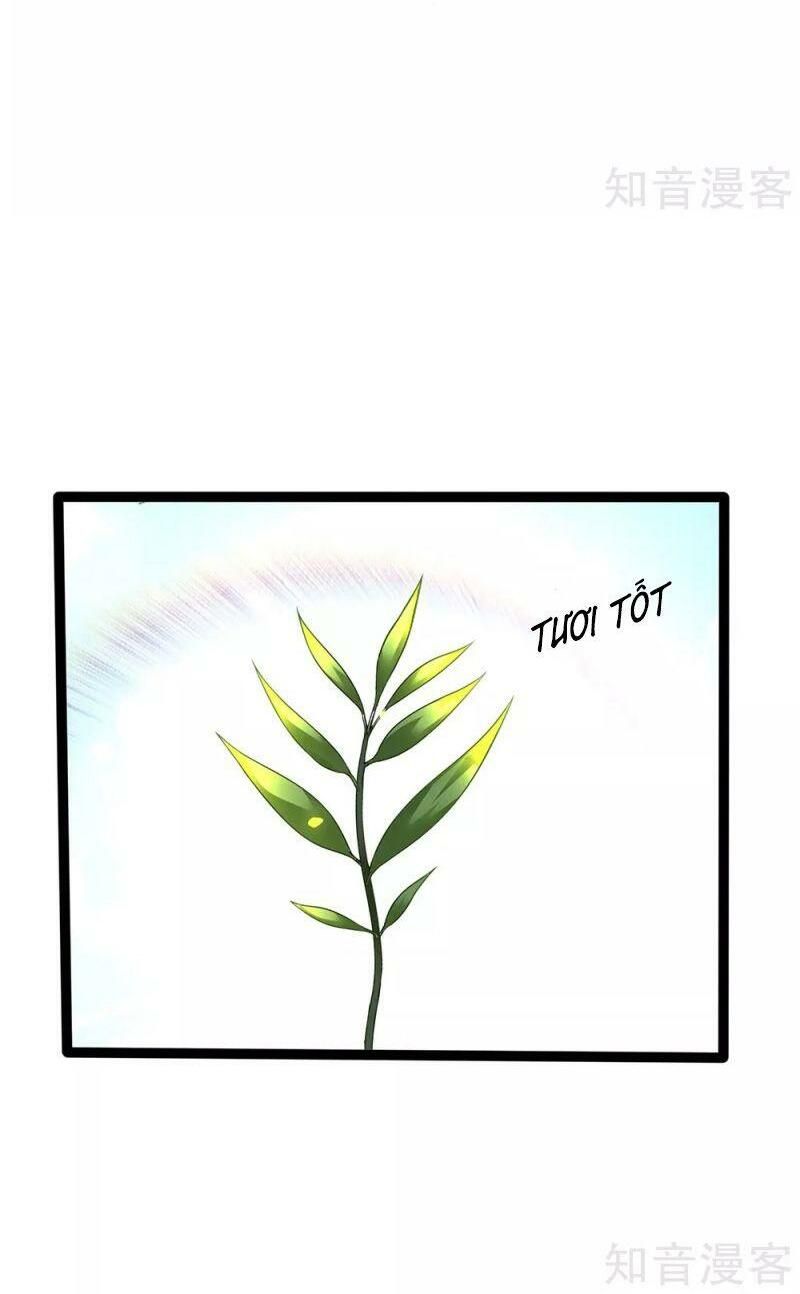 đọc truyện Vú Em Tiên Tôn Đi Ở Rể Chương 154 ảnh 29 tại Thiên Thai Truyện