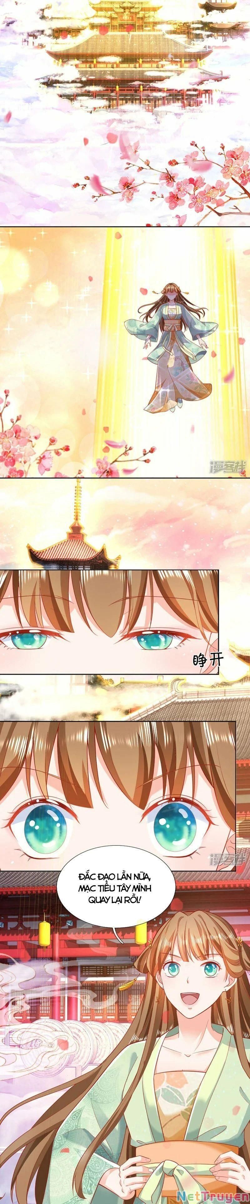 đọc truyện Vú Em Tiên Tôn Đi Ở Rể Chương 313 ảnh 6 tại Thiên Thai Truyện