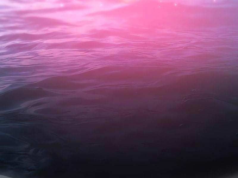 đọc truyện Vua Hiệp Sĩ Đã Trở Lại Với Một Vị Thần Chương 52.5 ảnh 75 tại Thiên Thai Truyện