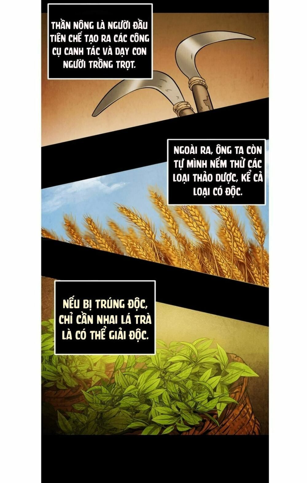 đọc truyện Vua Trộm Mộ Chương 45 ảnh 52 tại Thiên Thai Truyện