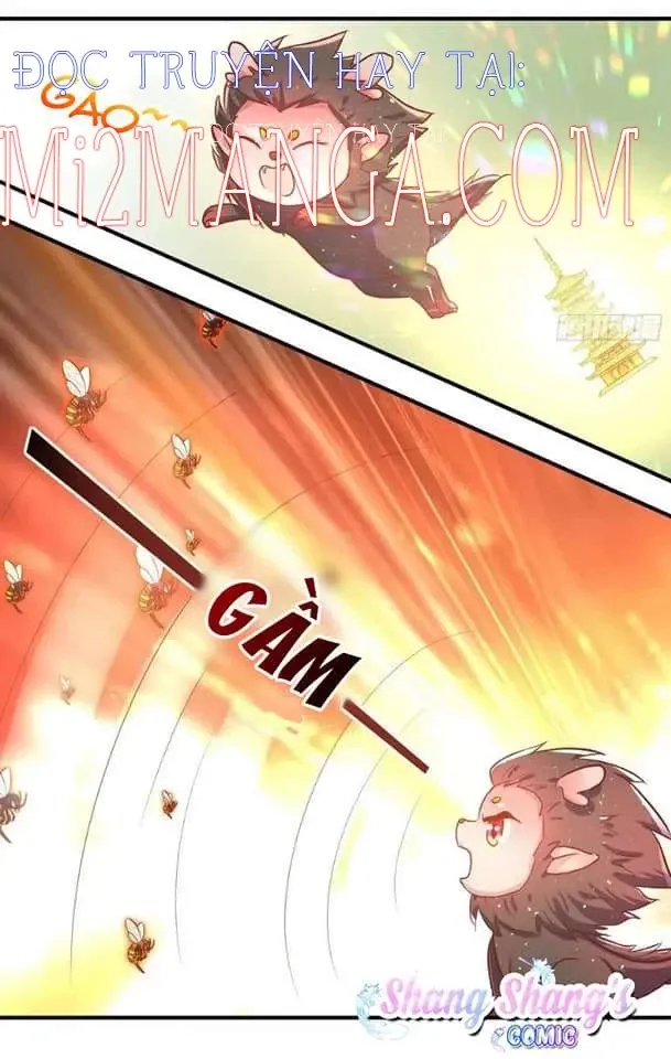 đọc truyện Vương Gia Này Khắc Vợ, Đắc Bàn ! Chương 104 ảnh 16 tại Thiên Thai Truyện