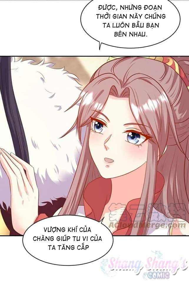 đọc truyện Vương Gia Này Khắc Vợ, Đắc Bàn ! Chương 118 ảnh 14 tại Thiên Thai Truyện