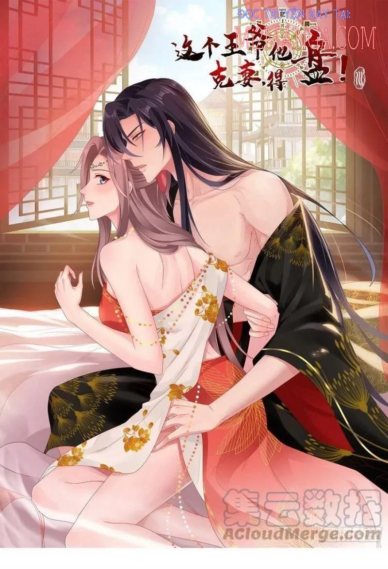 đọc truyện Vương Gia Này Khắc Vợ, Đắc Bàn ! Chương 47 ảnh 3 tại Thiên Thai Truyện