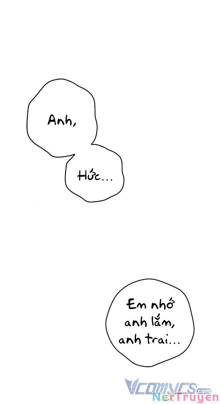 đọc truyện Vương Miện Viridescent Chương 58 ảnh 3 tại Thiên Thai Truyện