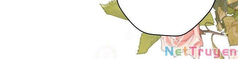 đọc truyện Vương Miện Viridescent Chương 63 ảnh 75 tại Thiên Thai Truyện