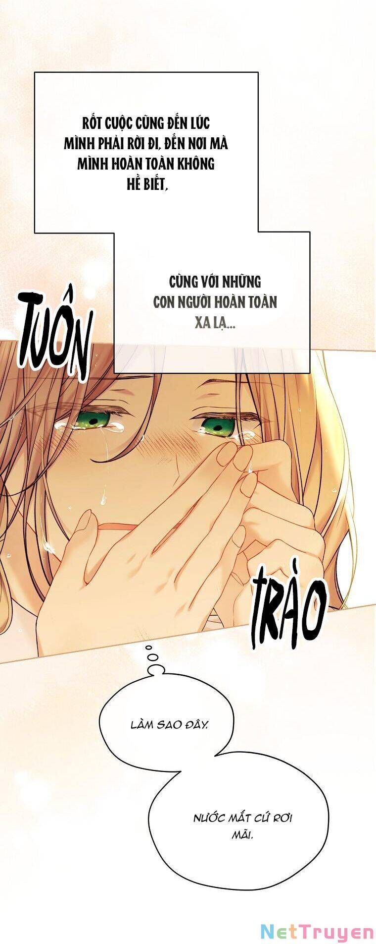 đọc truyện Vương Miện Viridescent Chương 73 ảnh 81 tại Thiên Thai Truyện