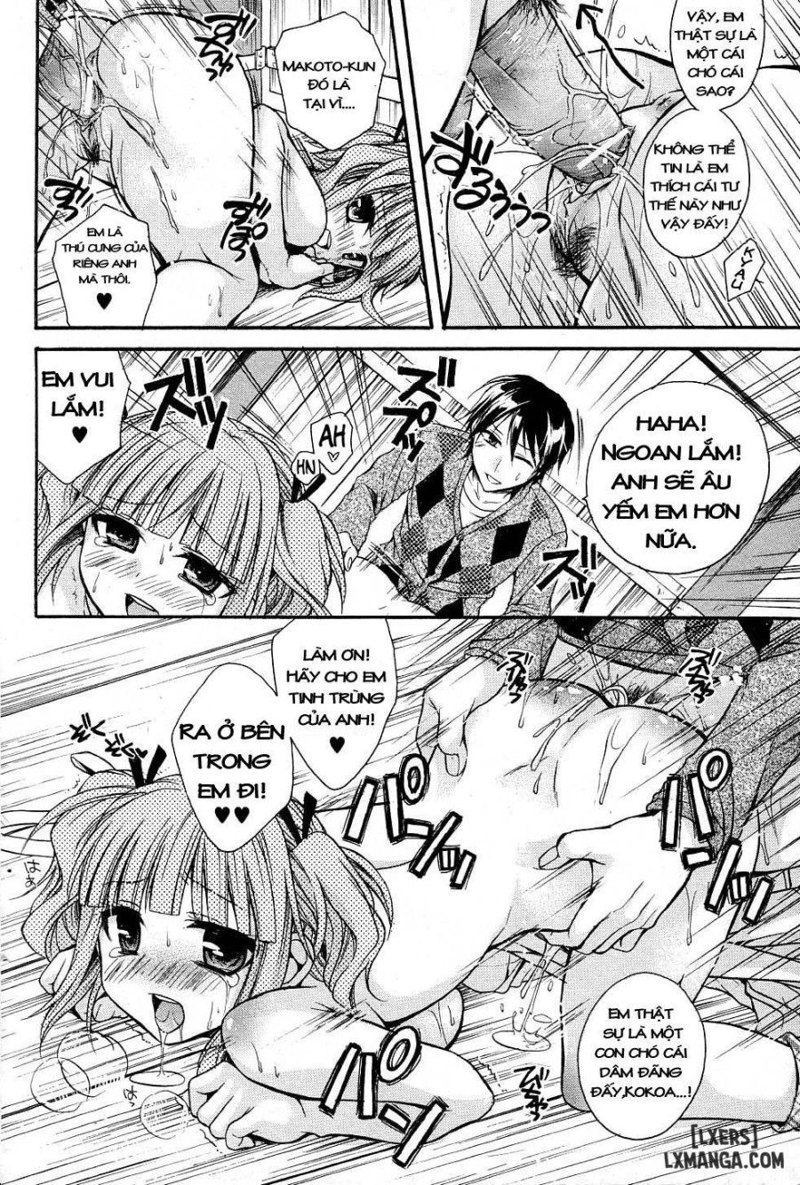 Wanwano! Chương 0 page 16 - Giả Dược
