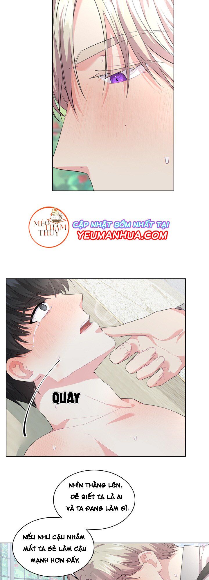 đọc truyện Who’s Your Daddy? Chương 15 ảnh 17 tại Thiên Thai Truyện