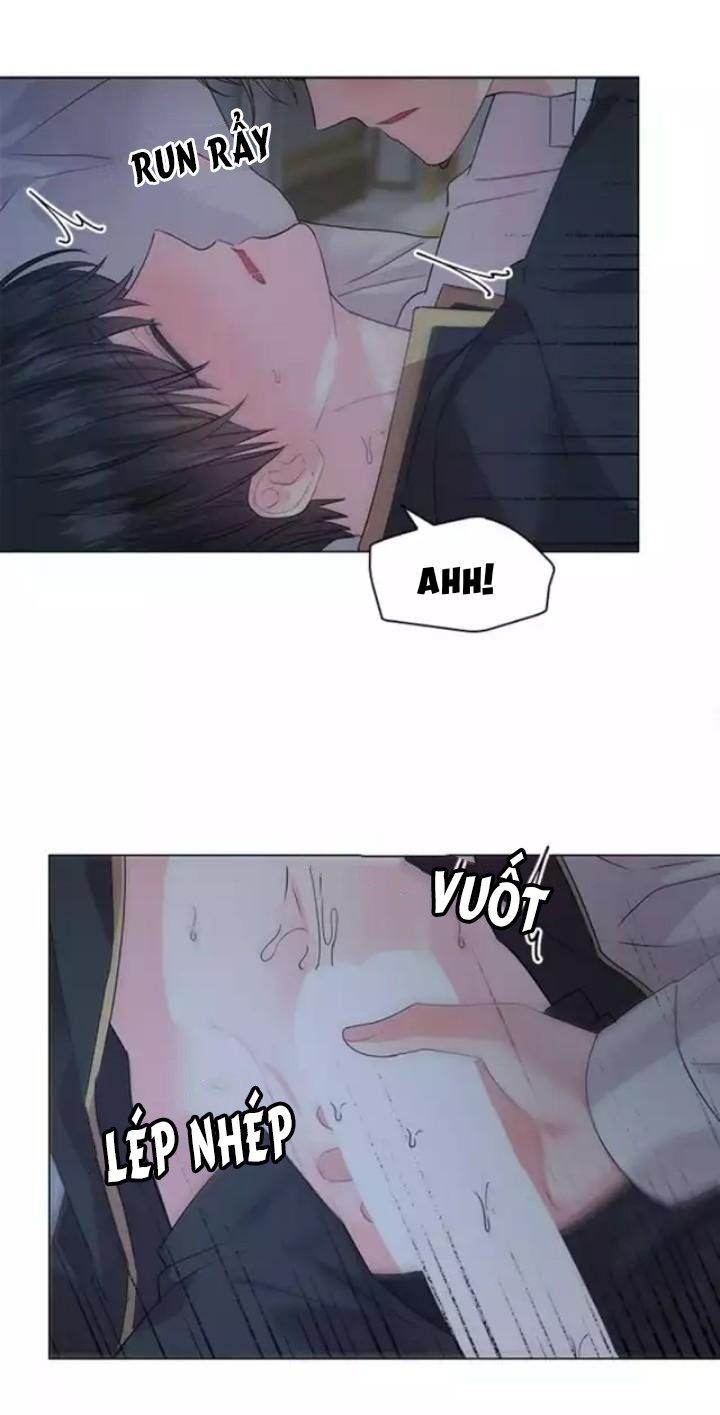 đọc truyện Who’s Your Daddy? Chương 50 ảnh 18 tại Thiên Thai Truyện