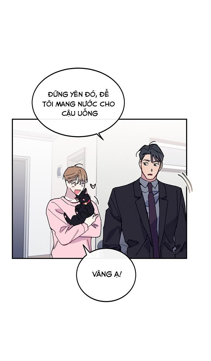 đọc truyện Why Not, Ceo? Chương 20 ảnh 34 tại Truyện Dạ Ký
